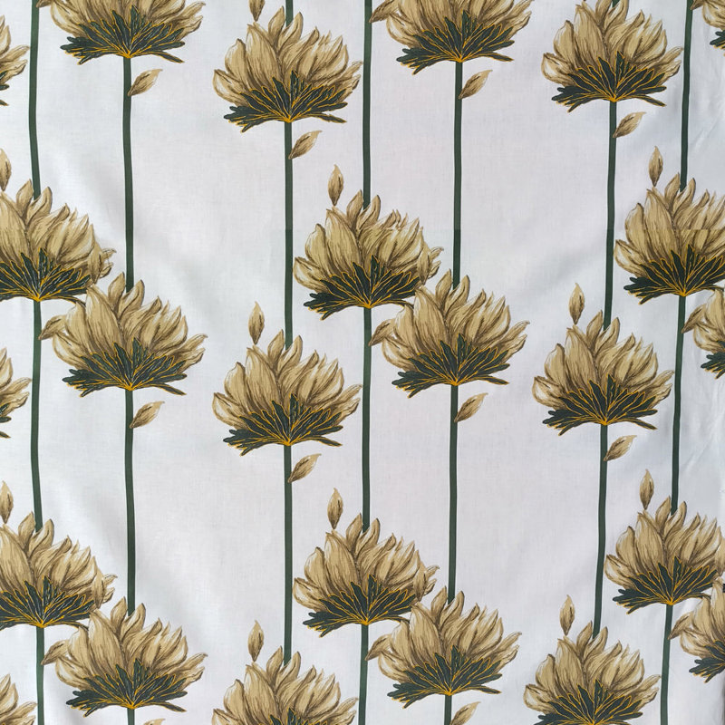 LOTUS-SIERRA, Eggshell Oyster