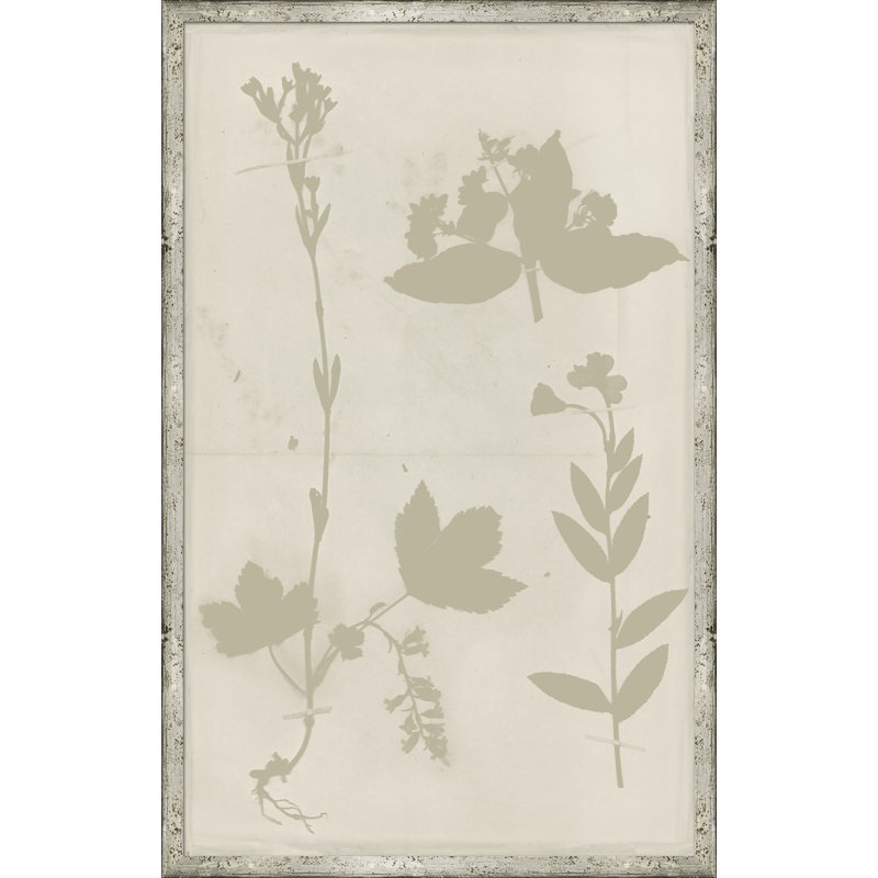 Ghost Herbaria in Celedon Framed Graphic Art