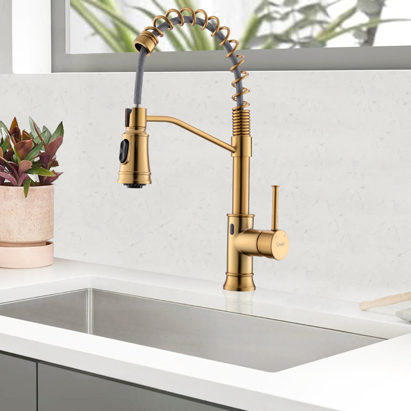 GAWEZA Pull Down Kitchen Faucet, Gold