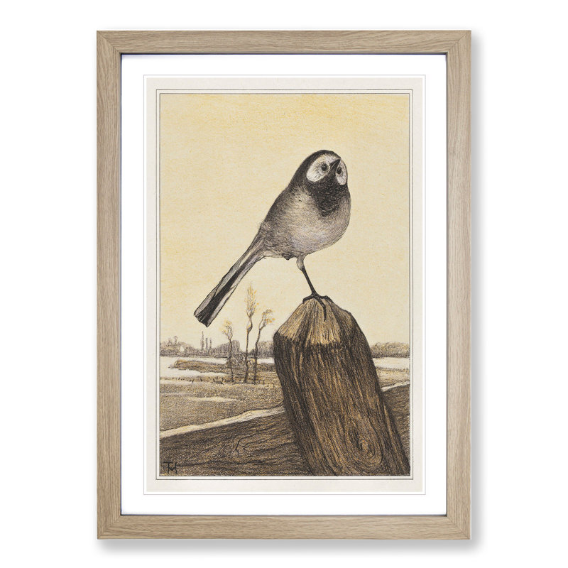 Wagtail Bird by Theo Van Hoytema - Picture Frame Painting, Oak, 36cm H x 27cm W x 2cm D
