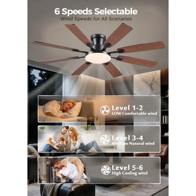 Ventilateur de plafond 60 pouces avec lumières