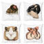 Drôle de portrait d'animaux rongeurs, ensemble de housse de coussin 4 pièces-57387843
