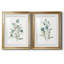 Linen Botanical III - ensemble de 2 reproductions d'art-1347602755-1347602758-1347602753