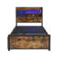 Storage Bed-1391353082