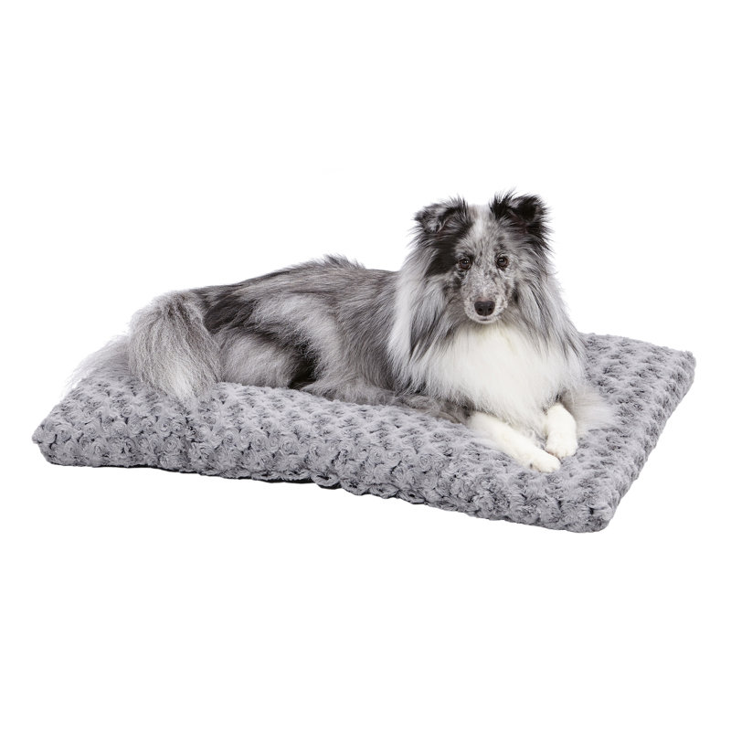 Lit pour animaux Quiet Time, Moyen (l 29 po x P 21 po x H 2 po)