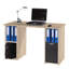 Perea Writing Desk and Computer Desk