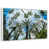 Floating Frame White selected