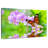 Brampt Spring Butterfly-108730918