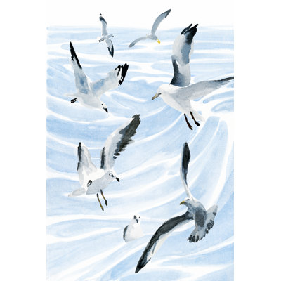 Seagull Soiree II