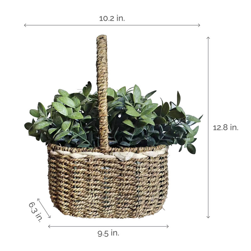 Elements 10" Artificial Seagrass in Basket