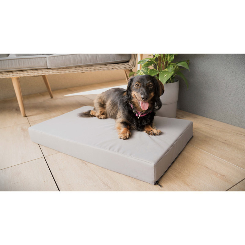 Trevin Orthopedic Codura Pet Bed, Grey, 9cm H x 122cm W x 76cm D, Double Extra Large