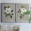 Magnolia botanique - ensemble de 2 reproductions d'art-512224784-512224776-512224792