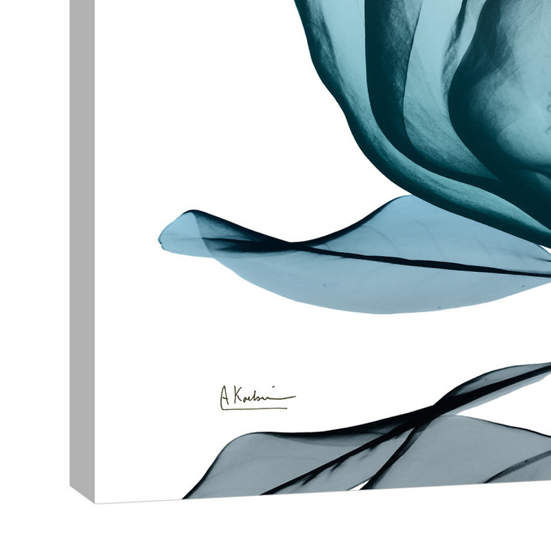 Midnight Magnolia 1 - Wrapped Canvas Print, 30 cm H x 41 cm W