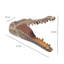 Wall Decor on Aluminum
