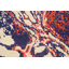 Tapis unique ivoire / brun noué à la main 9 pi x 12 pi 3 po nouvel âge One-of-a-Kind