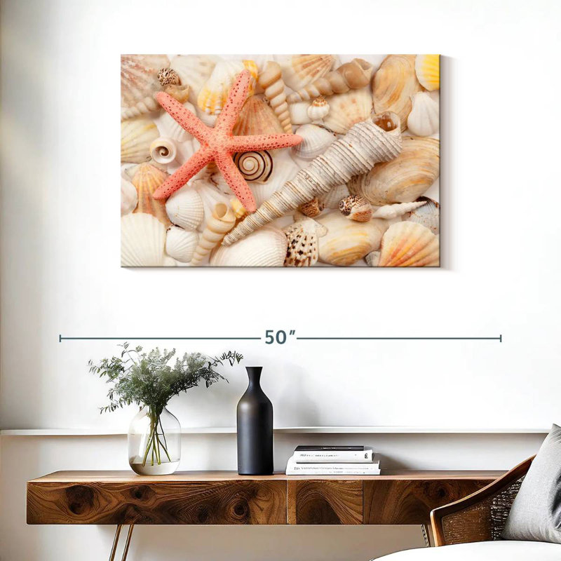Aletra Seashell Pile