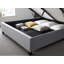Anesicia Upholstered Ottoman Bed-806606542
