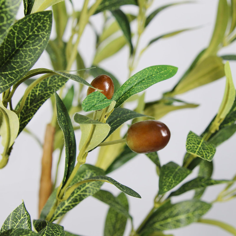 6ft Artificial Olive Tree with Black Planter