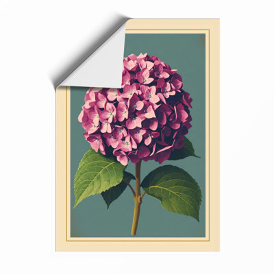 Hydrangea Study Botanical - Print