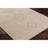 Oriental Indoor / Outdoor Rug-875662294