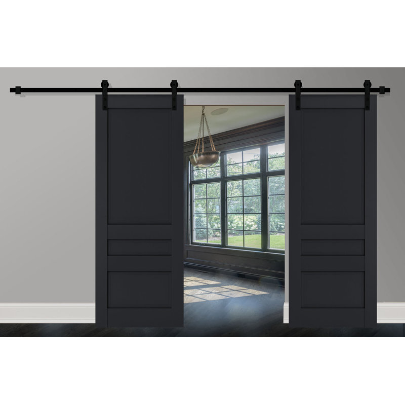 Portes de grange à panneaux en bois Veregio, Antracite, 36 po x 84 po