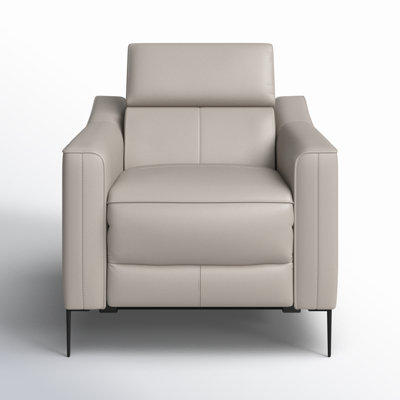 Anisia Power Recliner