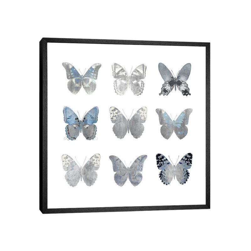 Butterfly Study II by Julia Bosco - Gallery-Wrapped Canvas Giclée on Canvas, 45.72cm H x 45.72cm W, Black Framed