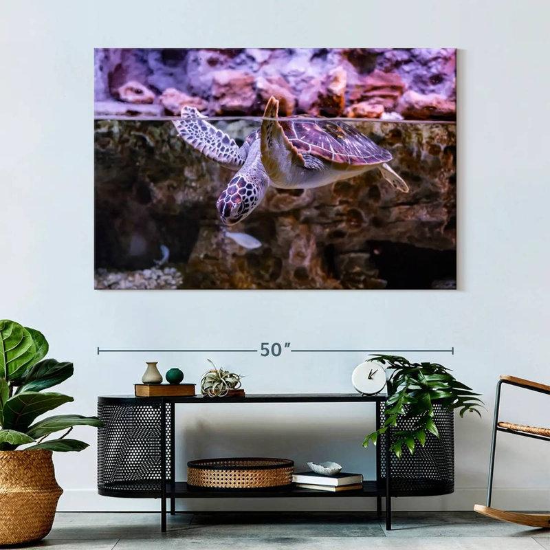 Brampt Turtle Aquarium, 34" H x 51" W