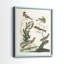 Oiseaux antiques dans la nature, impression encadrée de qualité supérieure - prête à être accrochée - aucun clou requis - aucun clou requis-1103485941-1103485943