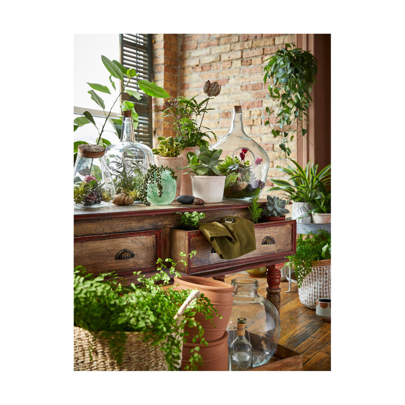 Terrarium en verre recyclé grand