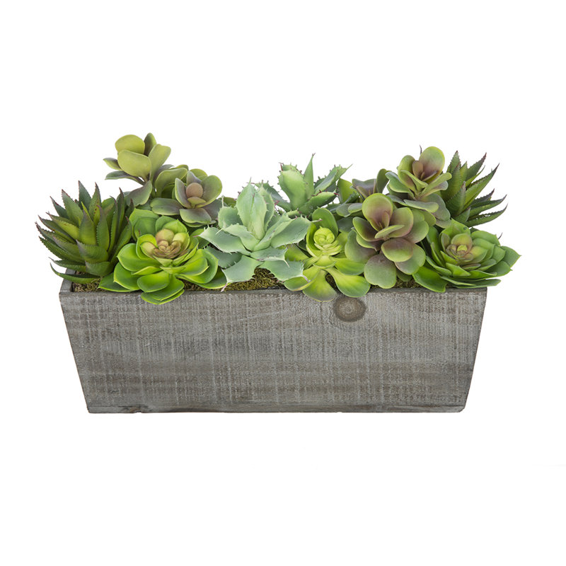 Plante succulente artificielle dans un vase décoratif, Gris