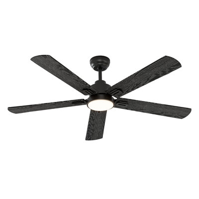 62" Black(5-Blade)Ceiling Fans with LED Lights and Remote Control