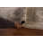 Vegetable Dye Oushak Turkish Area Rug