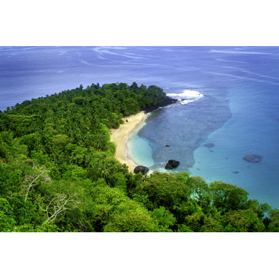 Banana Beach - Wrapped Canvas Print