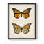 «Vintage Animal Print XXII», reproduction encadrée sur papier-796735715-796735713