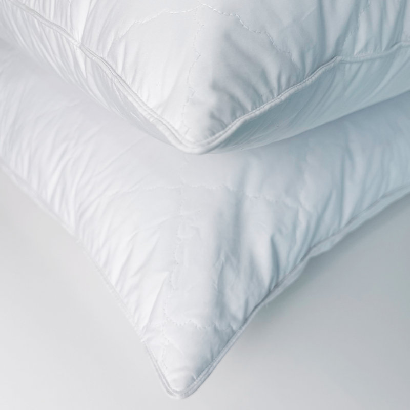 Ensemble de 2 coussins matelassés en plumes d'oie grises Biscuit, Standard
