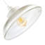 12cm H Glass Novelty Pendant Shade ( No Direct Attachment Method ) in Clear