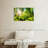" Forest Sunshine "-900367252