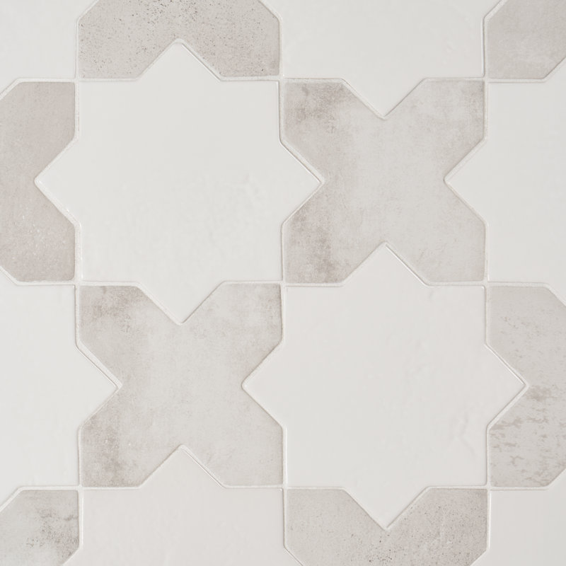 Parma Star-Crossed 6x6 Matte Terracotta Look Porcelain Floor and Wall Tile, Polished White/White