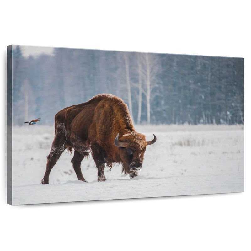 Brampt Bison In Snowy Forest, 26" H x 39" W