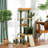 ?60In Cactus Cat Tree, Multi-Level Tall Cat Tower For Indoor Cats, Large Cat Condo For 2-3 Cats