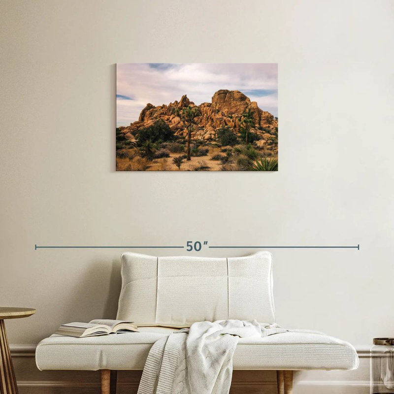 Nicci Joshua Tree, scène de désert, H 20 po x l 30 po