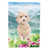 Goldendoodle (beige/bleu/vert)