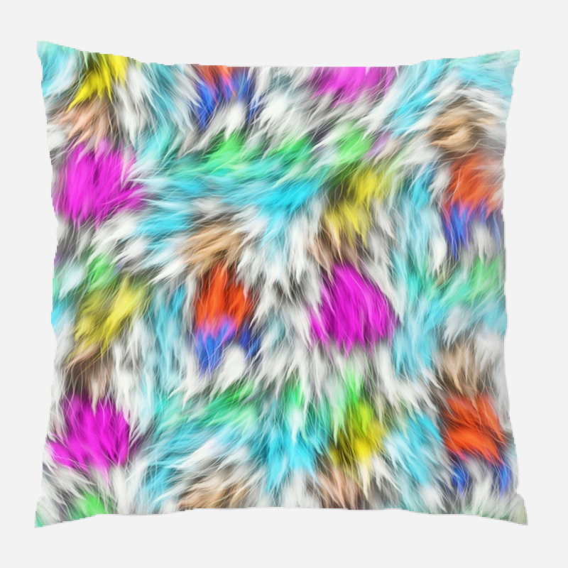Coussin abstrait, Intérieur