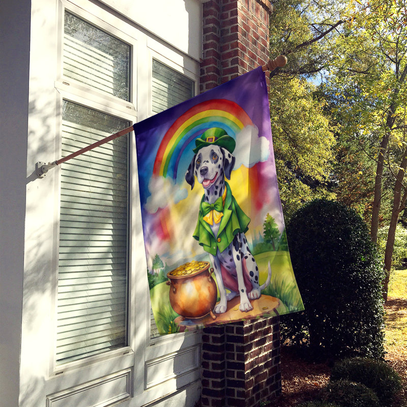 Drapeau double face en polyester H 40 po x l 28 po St Patrick's Day House