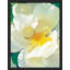 Art mural floral pastel blanc magnolia, impressions botaniques décoratives pour salon, encadré sur papier-93487735-93487734