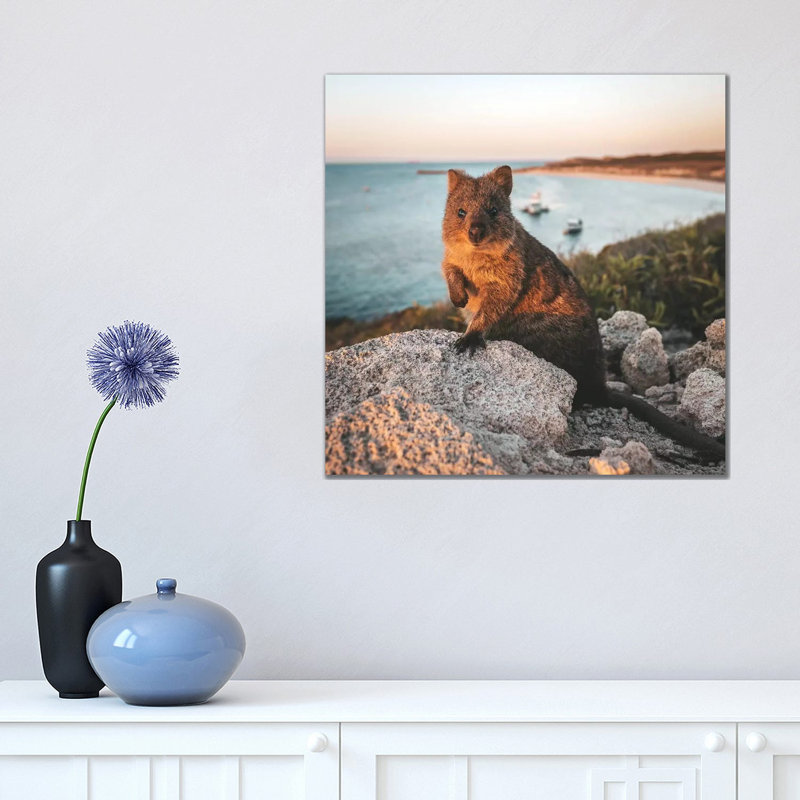 Sunset Quokka On Rottnest Island (Square) by James Vodicka - Wrapped Canvas Gallery-Wrapped Canvas Giclée