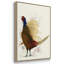Pheasant Splash 3 3 pièces-91415681-91415684