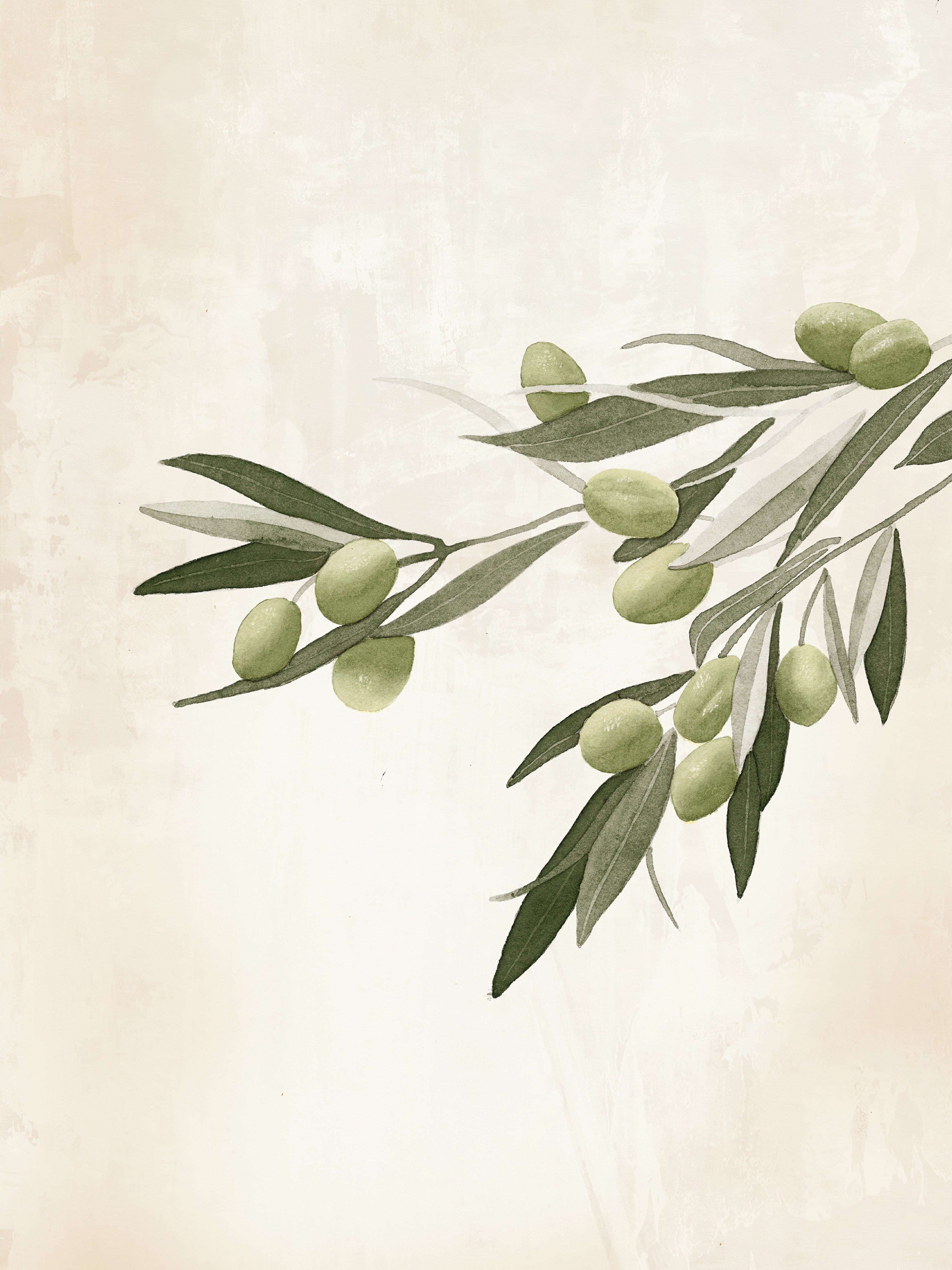 Gracie Oaks Olive Branch On Light Background With Green Olives On