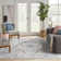Oriental Indoor Rug